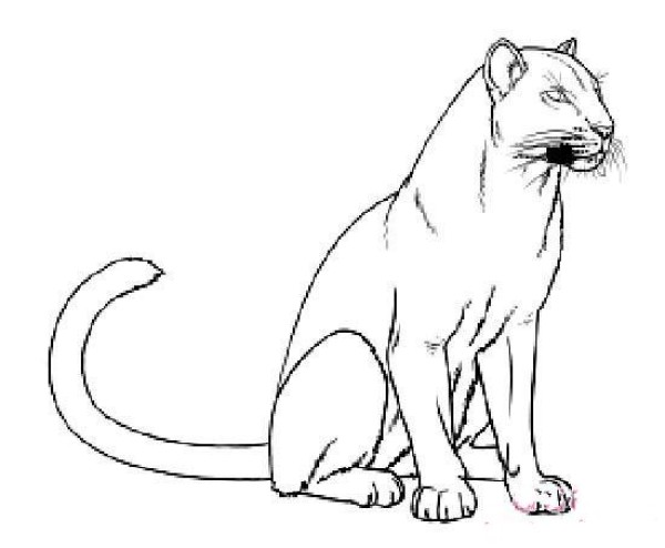 Childrens simple drawing of a squatting leopard