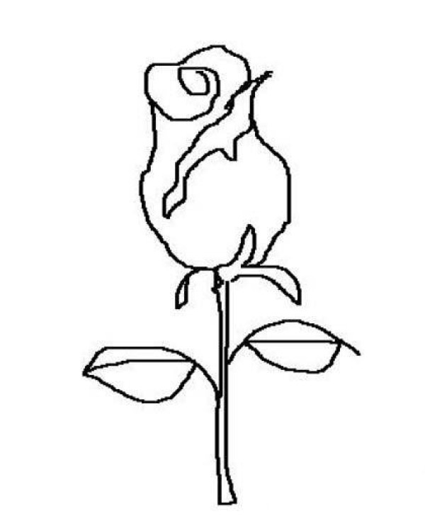 Childrens simple drawing of roses