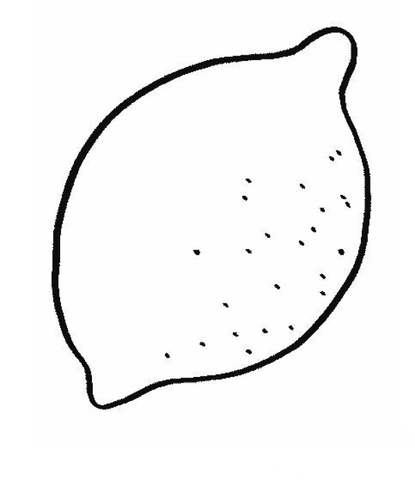 Lemon simple drawing picture