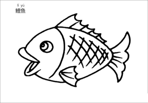 How to draw a carp