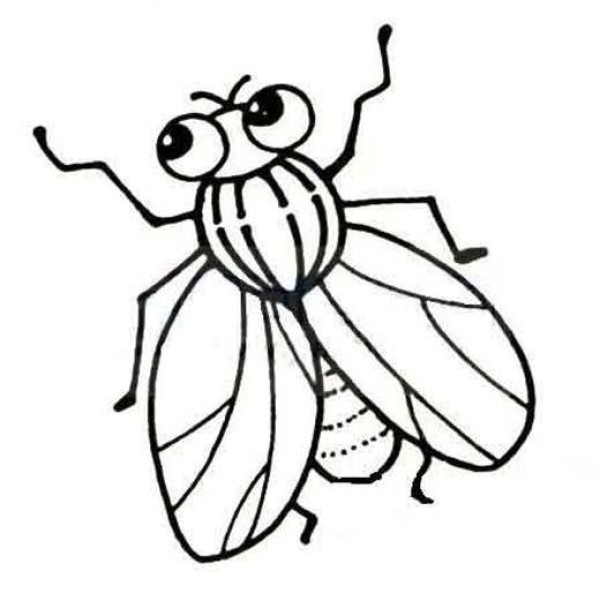 Childrens simple drawing picture of big fly