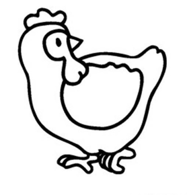 Childrens simple drawing: chicken