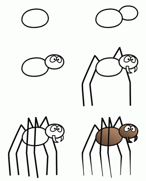 Draw a cartoon spider with simple strokes