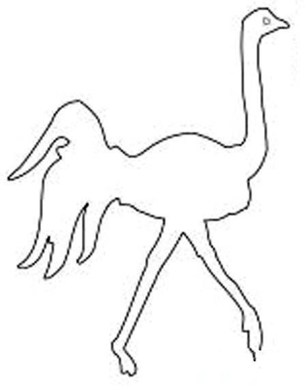 Hand drawn line drawing ostrich outline simple picture