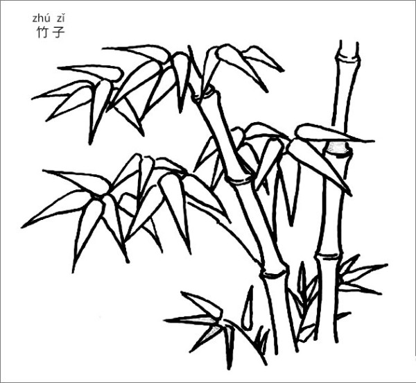 Complete collection of bamboo simple strokes