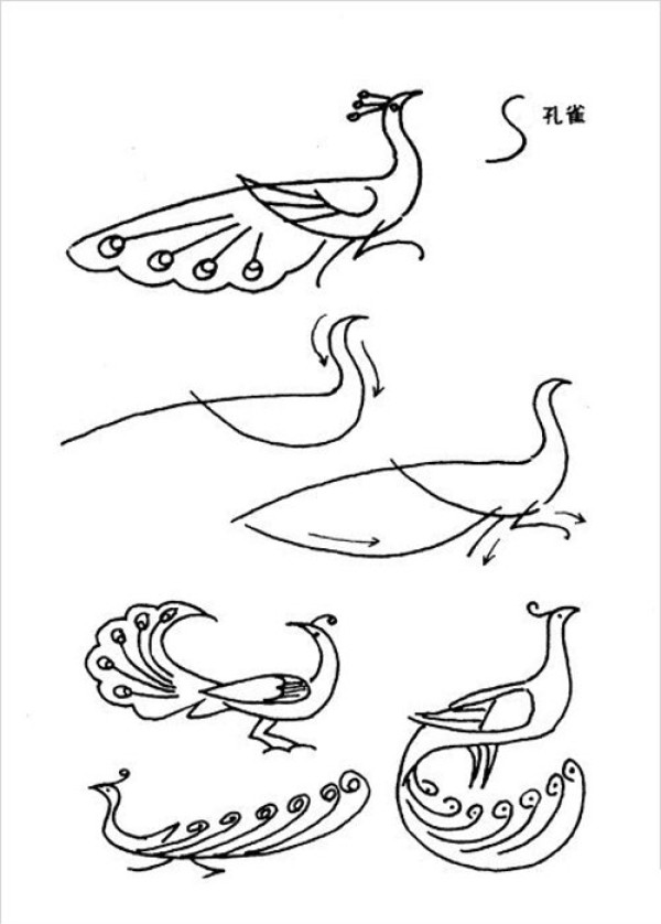 Peacock simple drawing tutorial