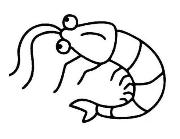 Primary school students' simple drawing pictures of river shrimps