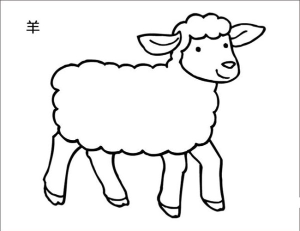 How to draw a sheep