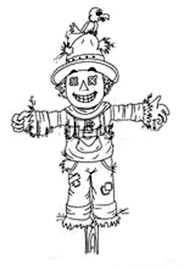 Primary school students' simple drawings of scarecrows