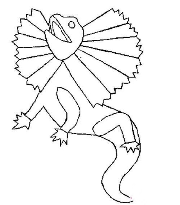 Lizard simple drawing picture: umbrella lizard