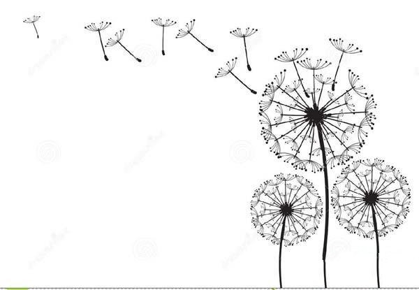 Childrens simple drawing pictures of flowers: Dandelion