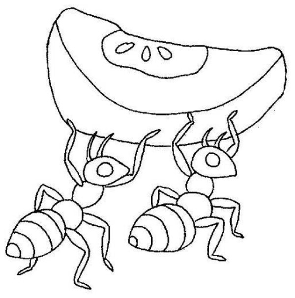 Simple drawing of ants carrying food