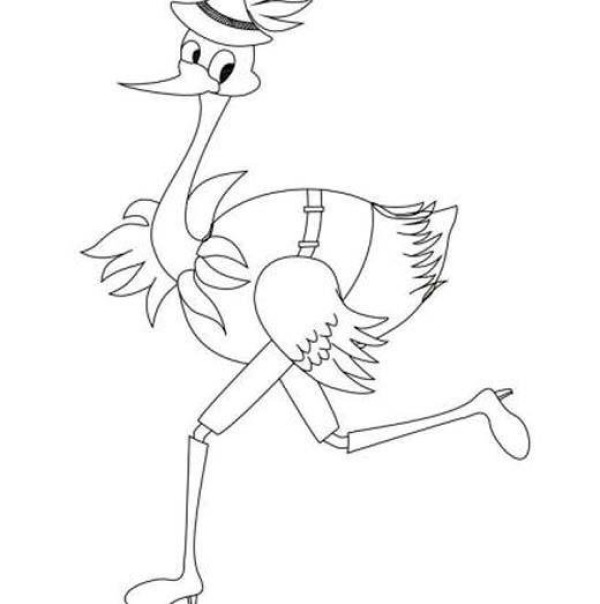 Cartoon ostrich simple drawing picture for children