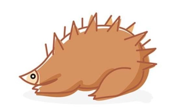 Colorful simple drawing pictures of hedgehogs