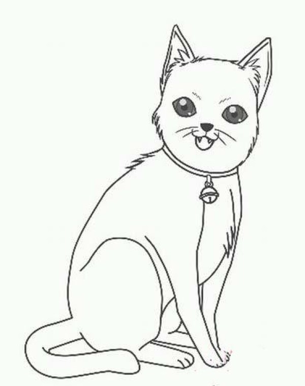 Childrens simple drawings of animals: cat