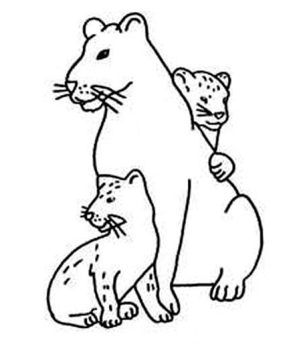 Childrens collection of simple drawings of mother leopard and cub