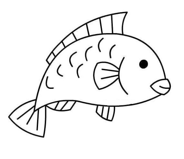 Simple strokes of carp