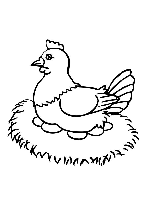 Simple drawing of hen laying eggs