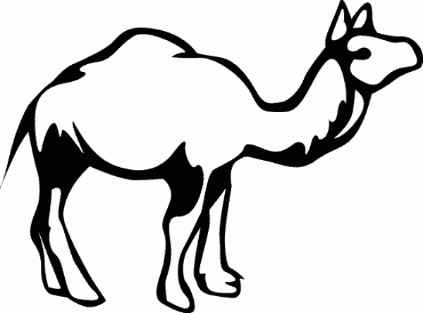 camel simple strokes