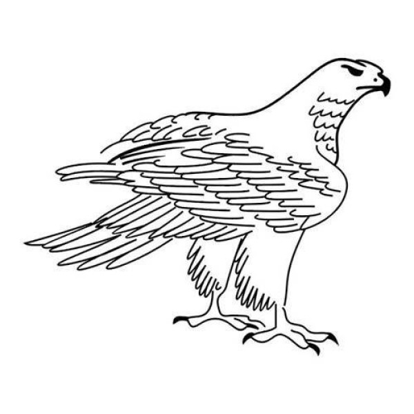 Eagle simple strokes picture