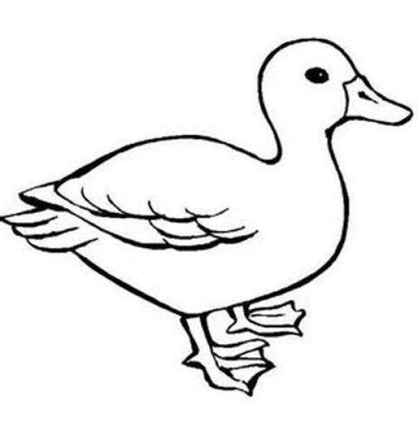 Childrens simple drawing: duck