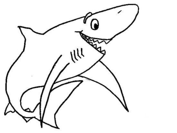 Cute shark simple drawing picture