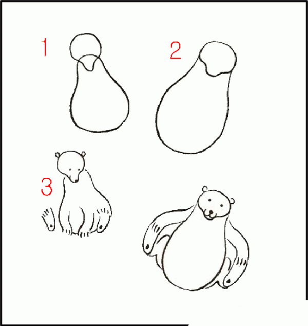 Steps on how to draw a bear in simple strokes: How to draw a bear