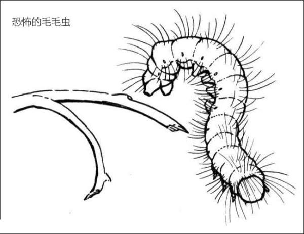 Horrible caterpillar simple drawing