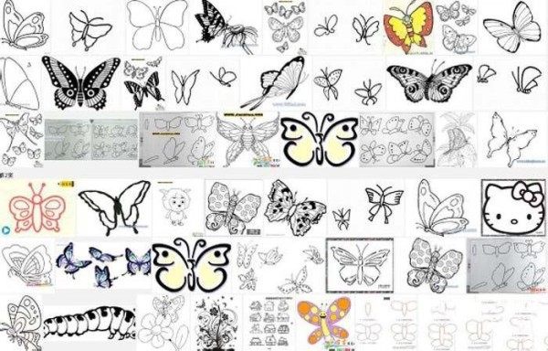 Complete collection of butterfly simple strokes pictures