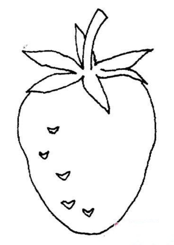 A complete collection of simple strawberry drawings for children