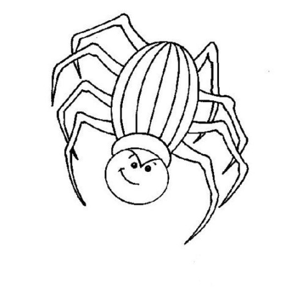 spider simple drawing