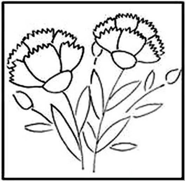 Carnation simple drawing pictures for primary school students