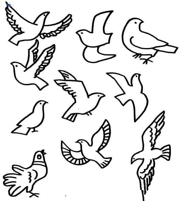 A collection of simple drawings of various forms of peace doves