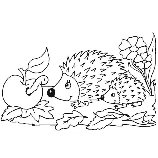 Hedgehog simple strokes