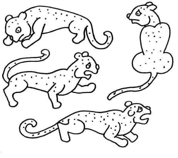 Leopard simple strokes