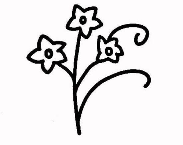 Childrens simple drawing of narcissus