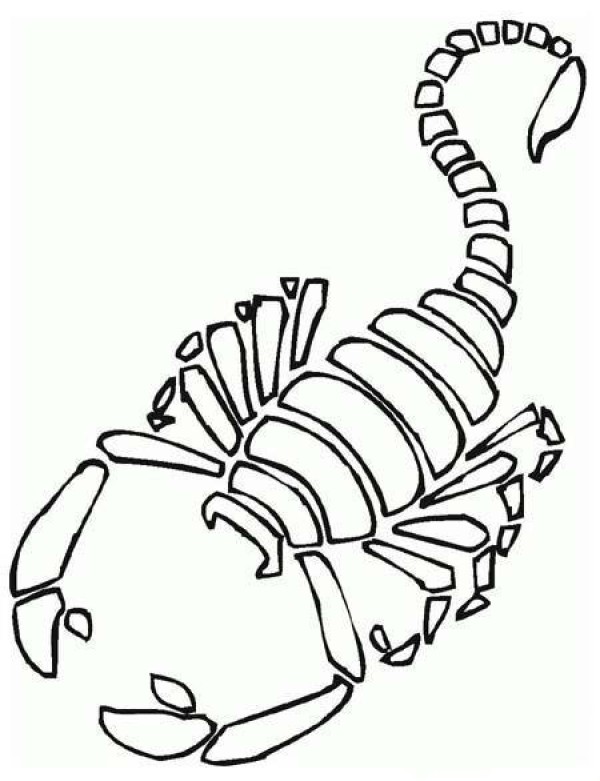 Simple strokes of scorpion fossils