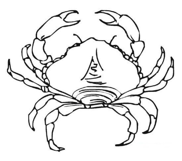 Yangcheng Lake hairy crab simple drawing picture