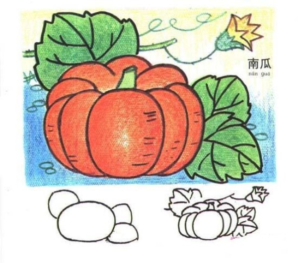 Colorful pumpkin simple drawing pictures