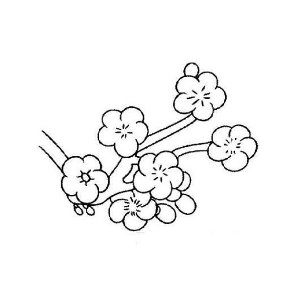 Simple strokes about plum blossoms