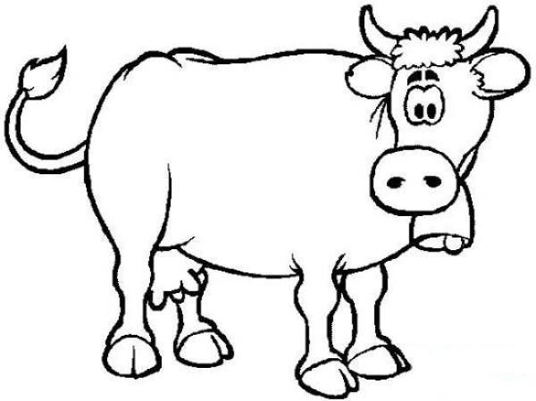 Childrens simple drawings about cows