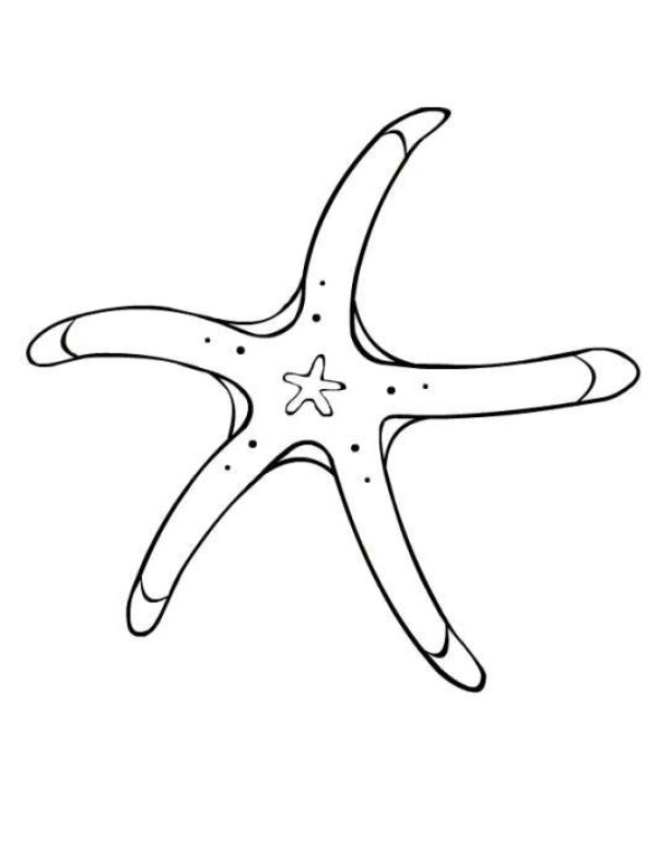 Simple strokes of starfish