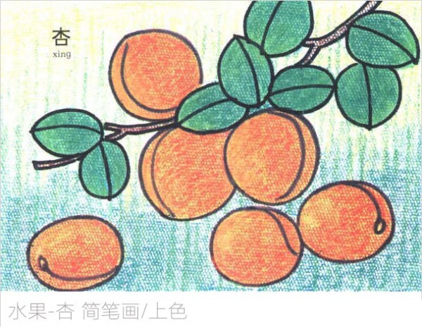 Apricot simple strokes