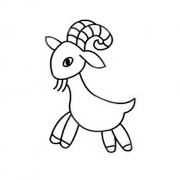 Simple drawing of kindergarten sheep