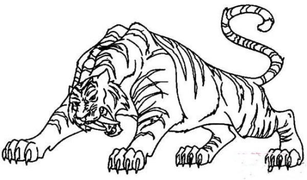 Fierce tiger simple strokes