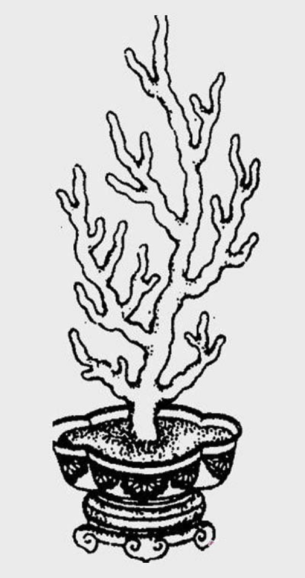 Simple picture of a pot of coral