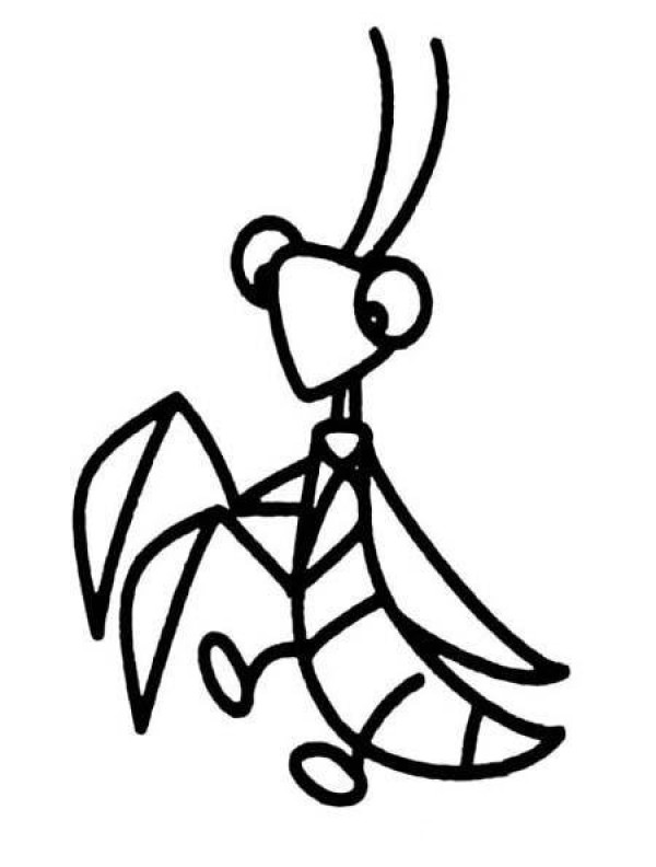 Kindergarten mantis simple drawing picture