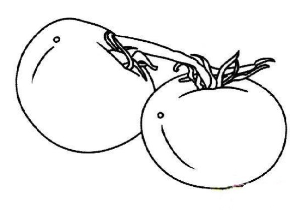 Childrens simple drawing: two tomatoes