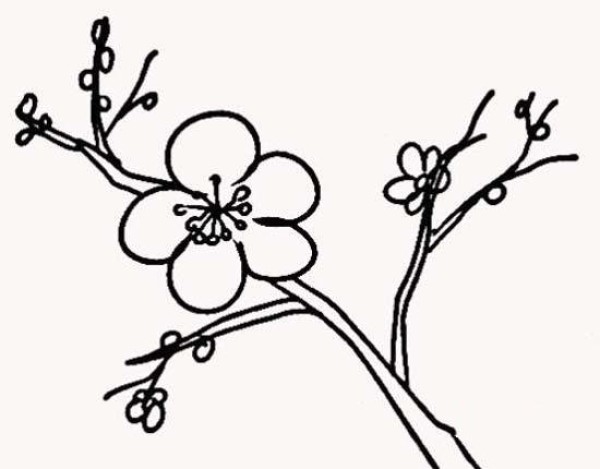 Winter plum blossoms simple strokes