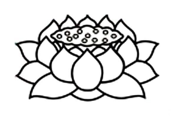 Childrens simple drawing of beautiful lotus